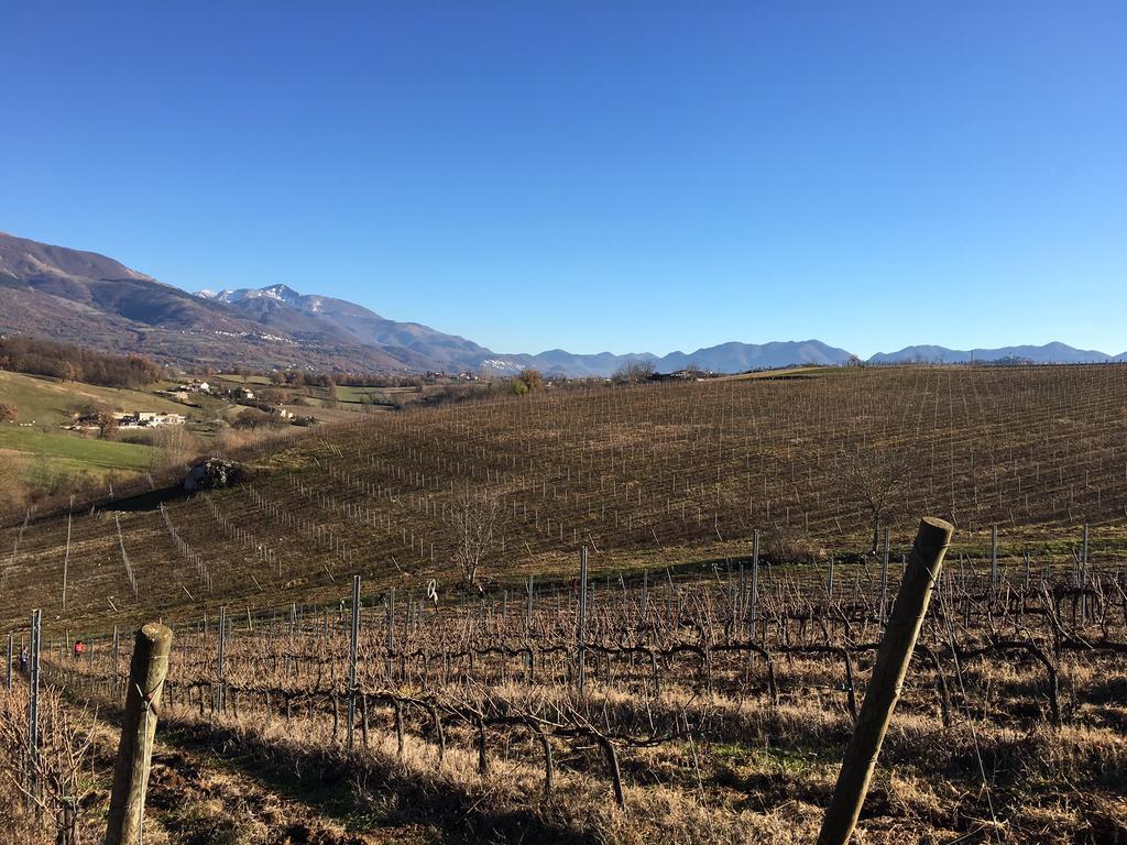 Agriturismo Di Charme Erbadoro Alvito Dış mekan fotoğraf