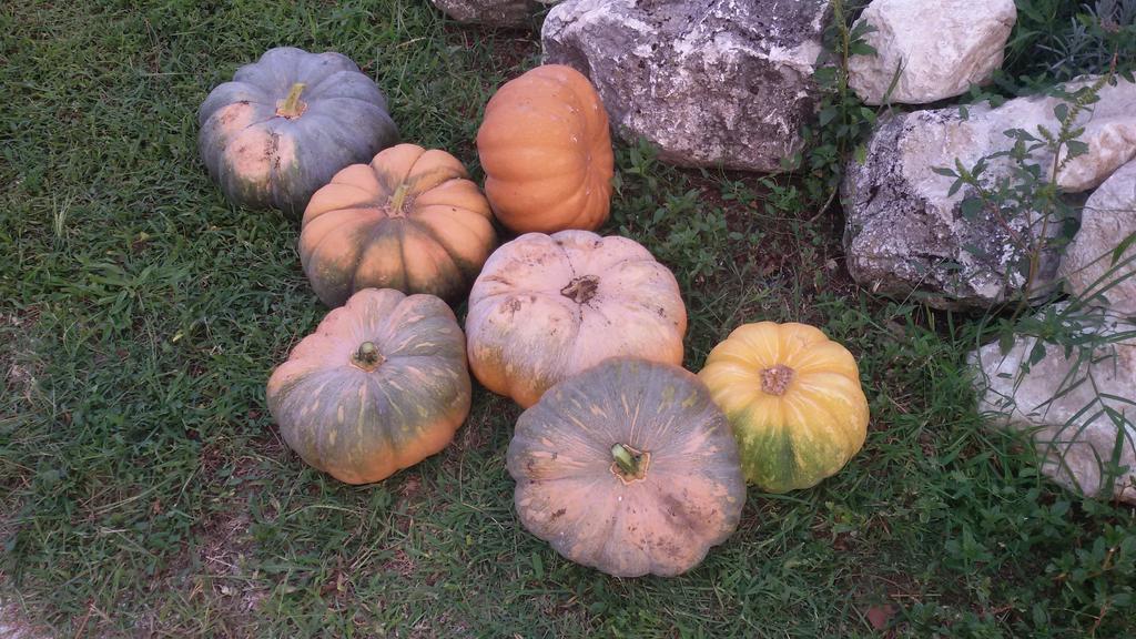 Agriturismo Di Charme Erbadoro Alvito Dış mekan fotoğraf