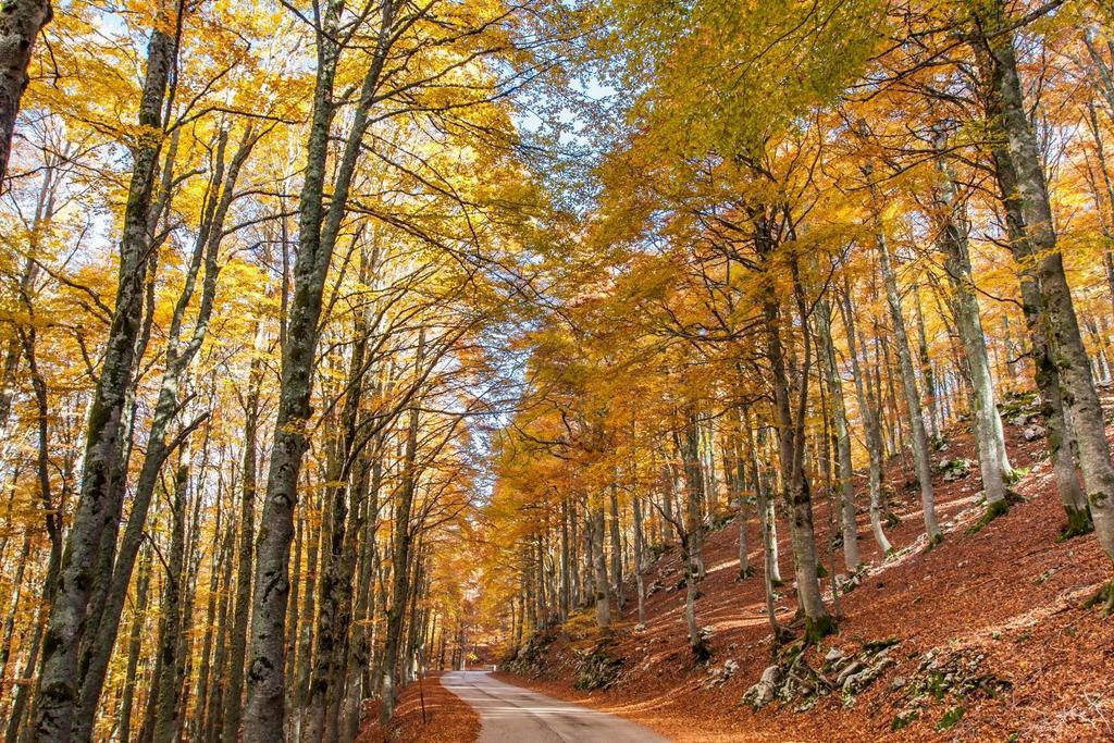 Agriturismo Di Charme Erbadoro Alvito Dış mekan fotoğraf