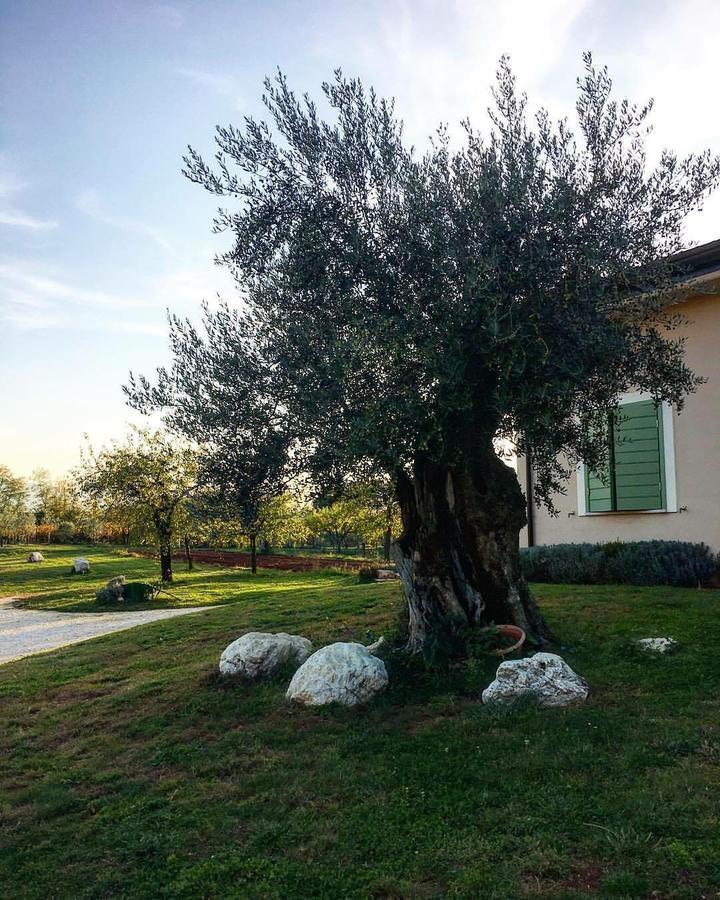 Agriturismo Di Charme Erbadoro Alvito Dış mekan fotoğraf