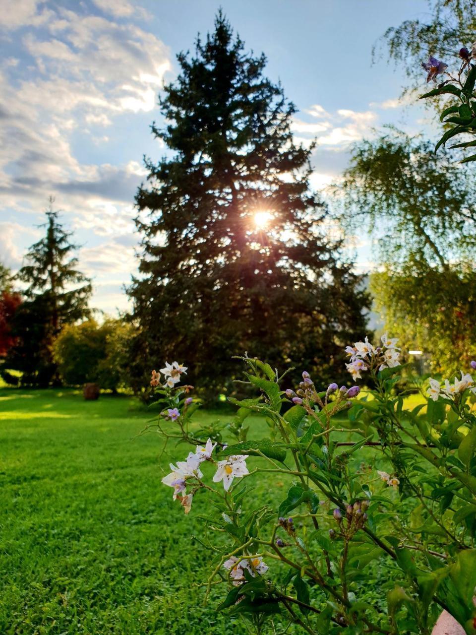 Agriturismo Di Charme Erbadoro Alvito Dış mekan fotoğraf