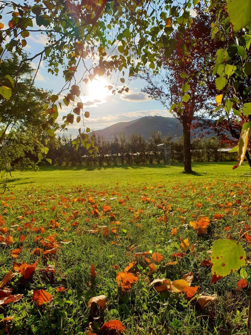 Agriturismo Di Charme Erbadoro Alvito Dış mekan fotoğraf